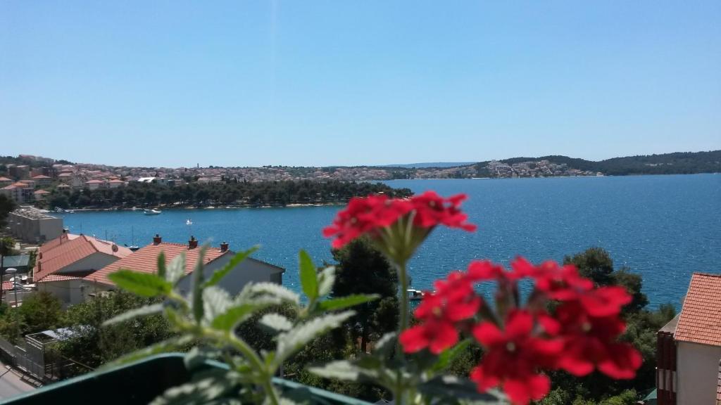 a view of a body of water with red flowers at Villa Queen in Trogir