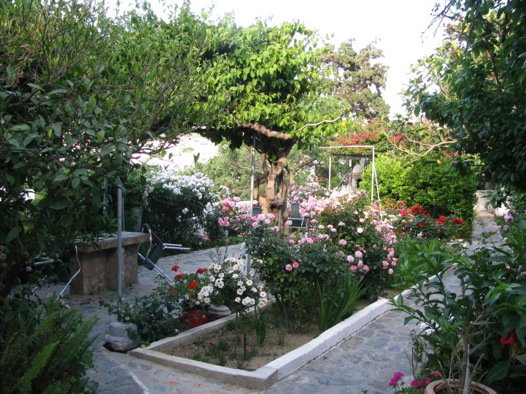 a garden with a bunch of flowers and a tree at Anna Studios in Katapola