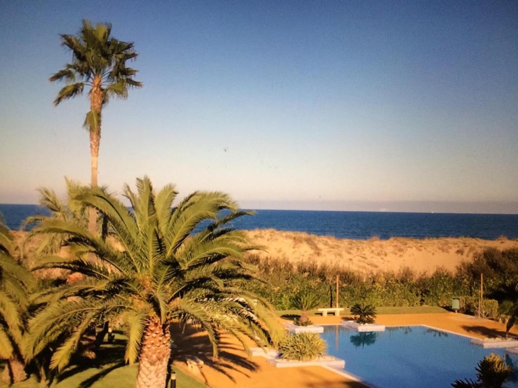 a palm tree and a swimming pool with the beach at Oliva Nova Casas del Mar in Oliva