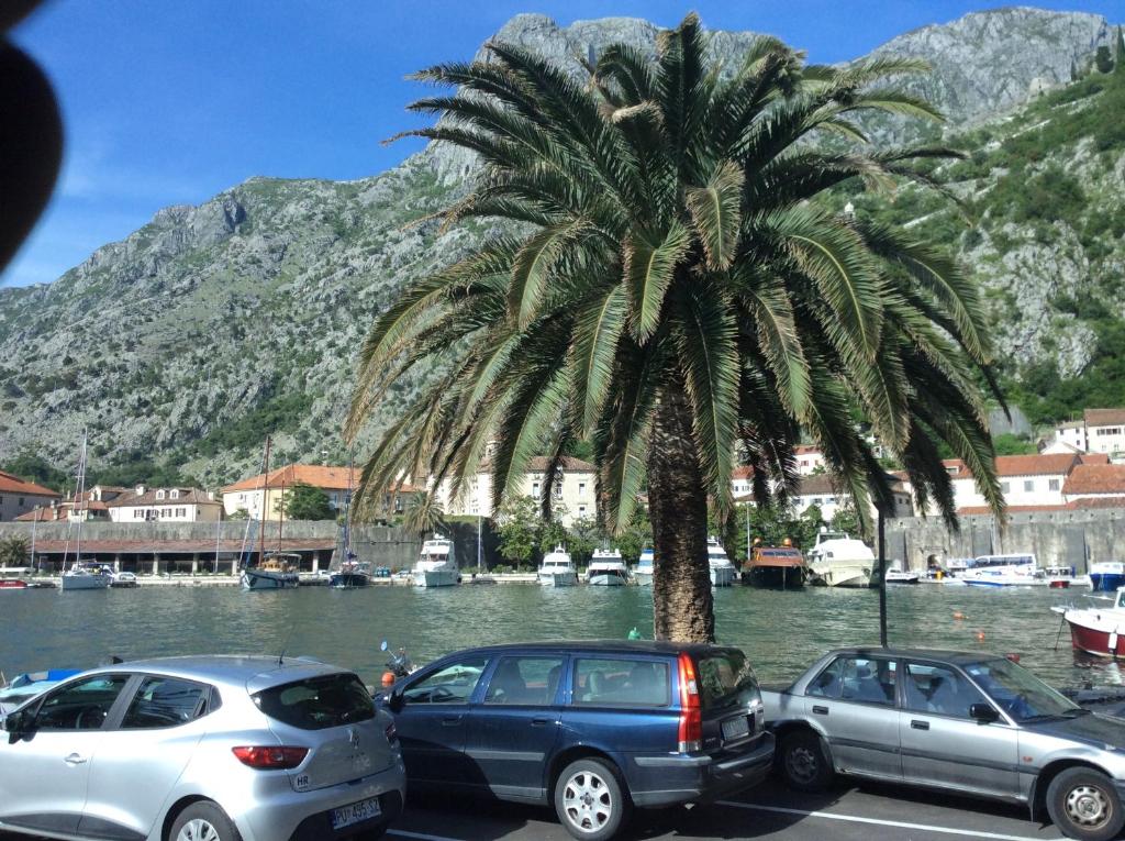 Apartments Qualitas - 4