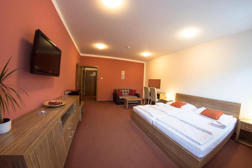 TV a/nebo společenská místnost v ubytování Wellness Hotel Hukvaldy POLOPENZE A WELLNESS V CENĚ