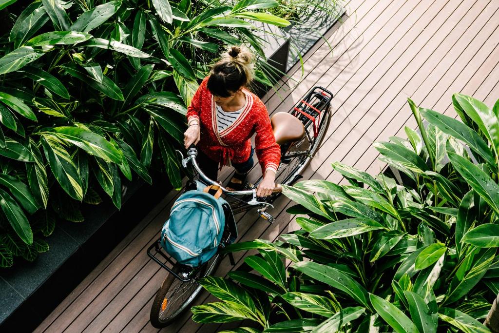 Veriu Camperdown - Resim 14