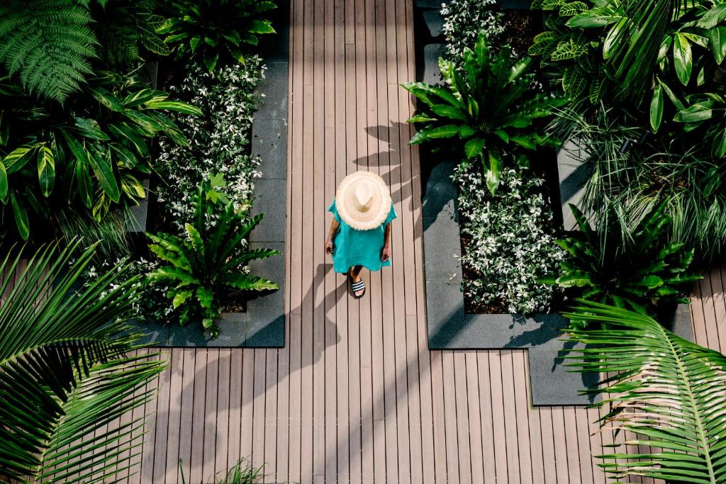 Veriu Camperdown - Resim 12