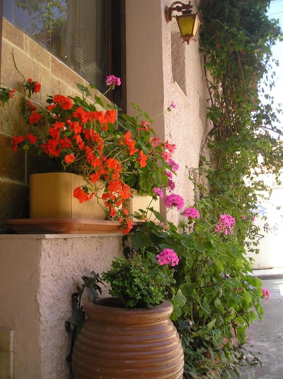 Tina Hotel - Resim 41