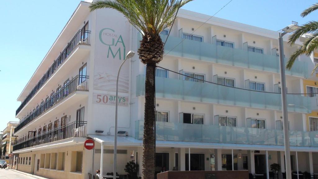 a large palm tree in front of a large building at Hostal Gami in Cala Ratjada
