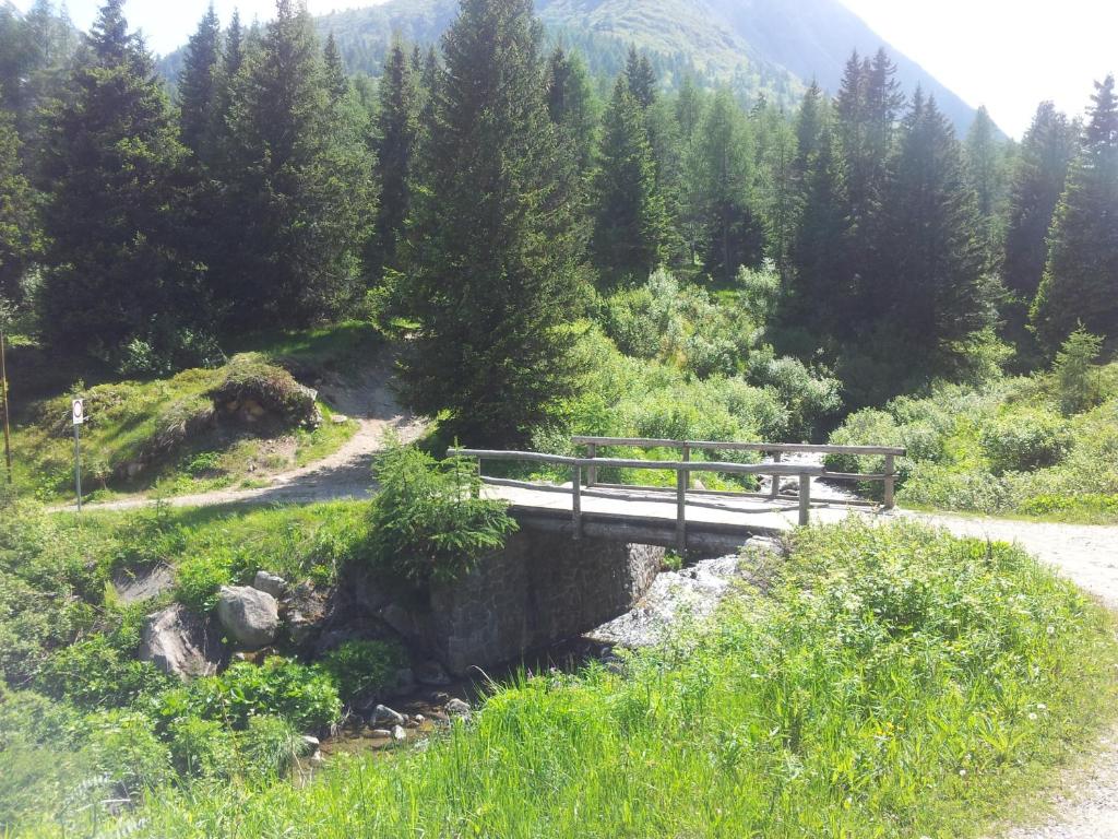 Príroda v okolí hotela