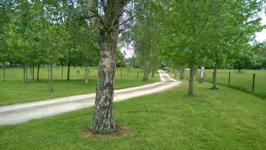 Zahrada ubytování Korbaylen Estate