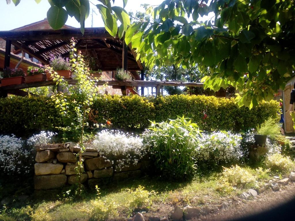 Zahrada ubytování B&B la Concordia