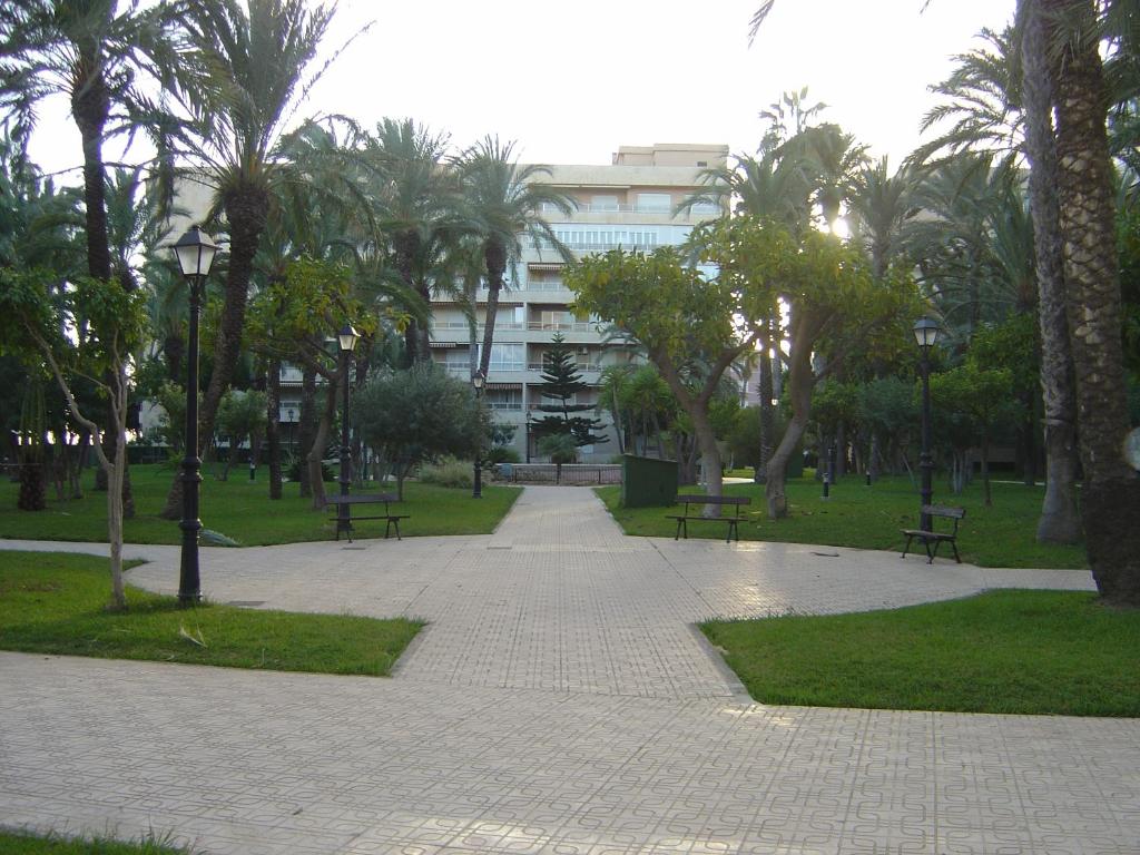 Vonkajšia záhrada v ubytovaní Palmeral de Torrevieja