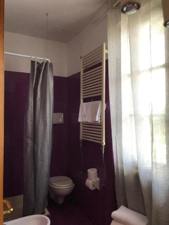 a bathroom with a toilet and a shower curtain at Residence Alexandra Stay in Sirmione