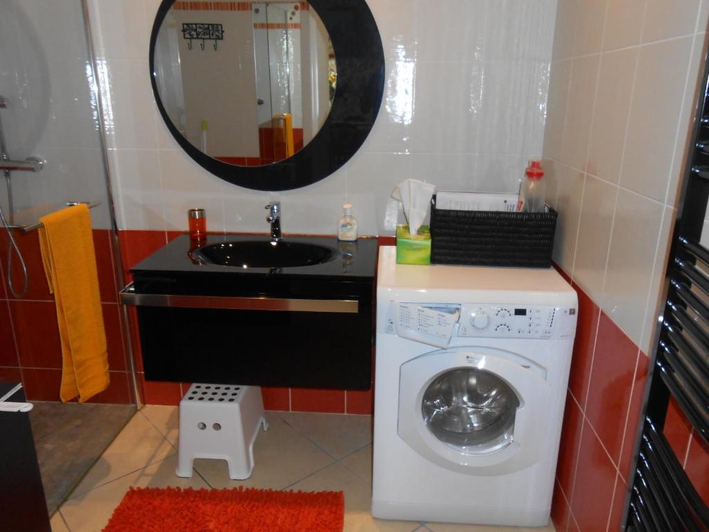 a bathroom with a washing machine and a mirror at Gite du Cret in Hotonnes