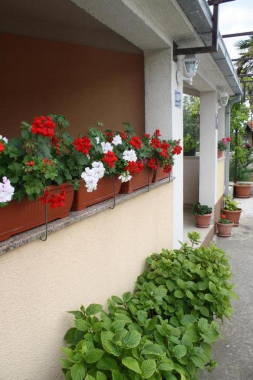 Vonkajšia záhrada v ubytovaní Apartments Miše