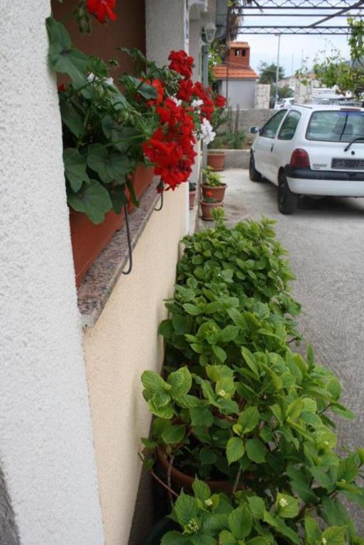 Vonkajšia záhrada v ubytovaní Apartments Miše