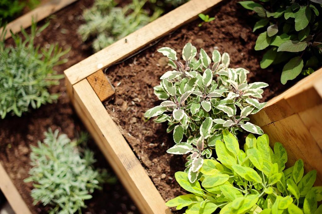 Hotel Bajt Maribor - Resim 26