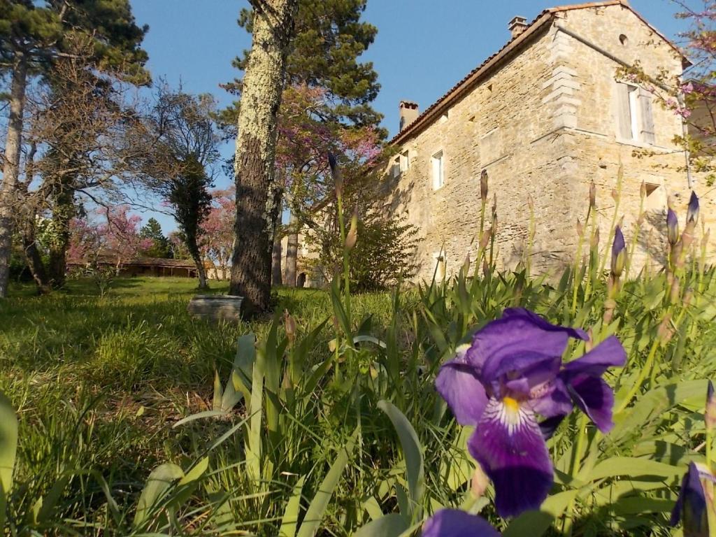 Zahrada ubytování Maison d'Hôtes Mas de la Chadenede
