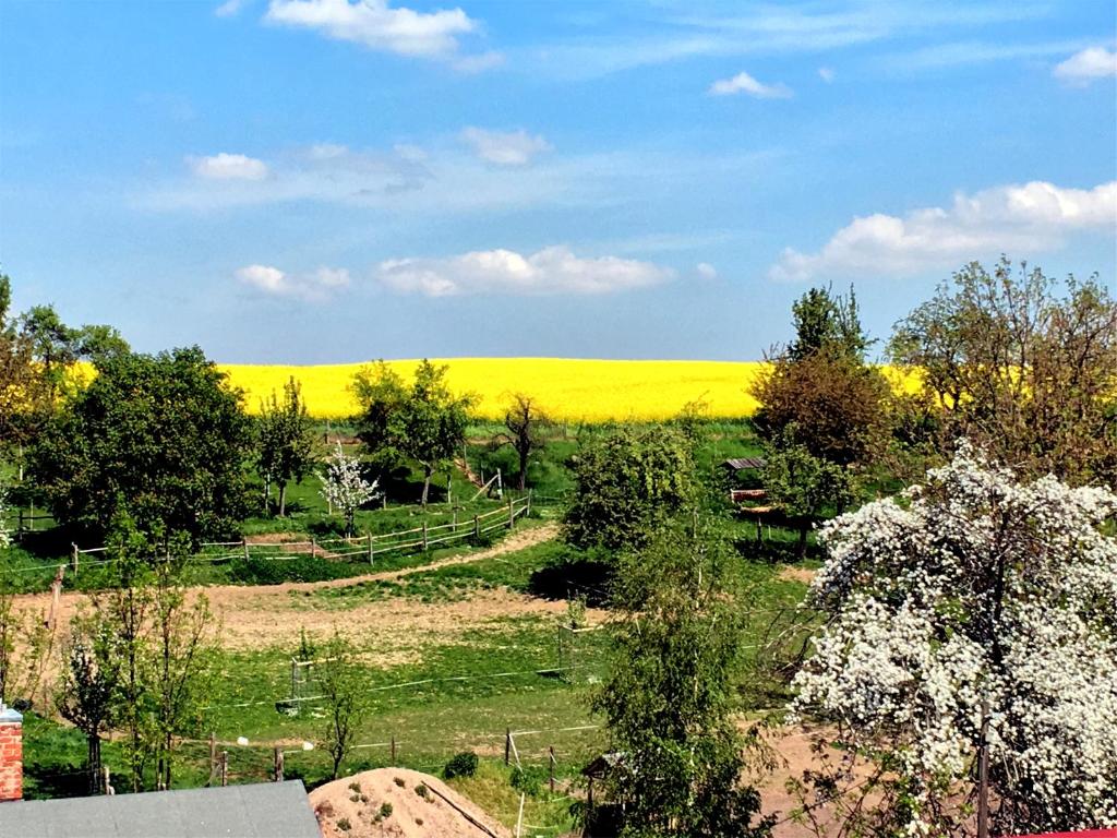 Fotografie z fotogalerie ubytování Ferienhaus zur Blautanne v destinaci Klipphausen
