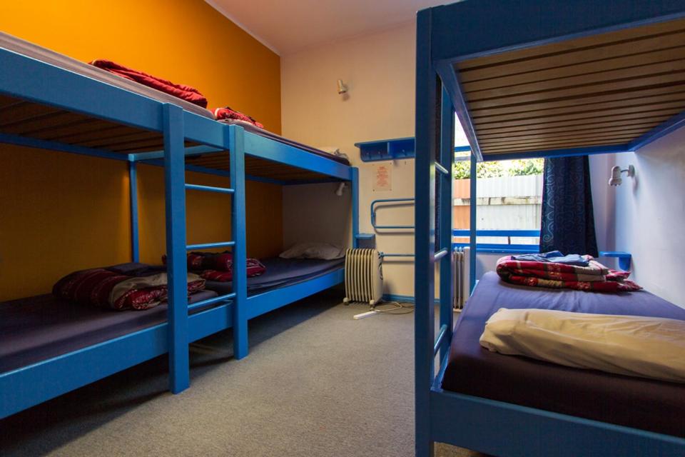 Sequoia Lodge Backpackers - Resim 18