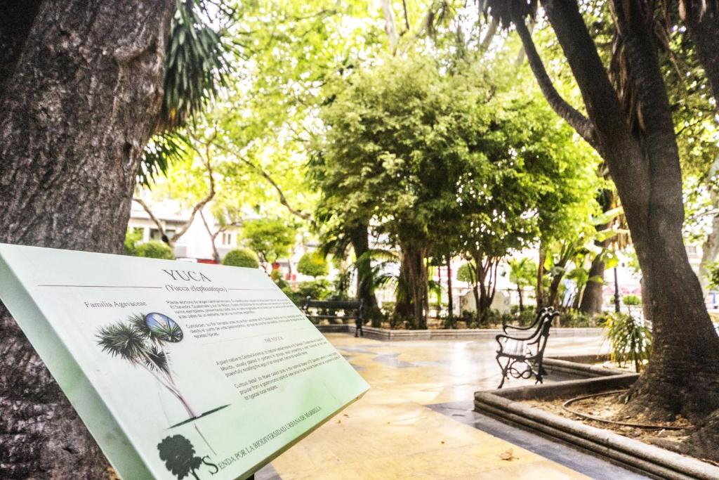 a sign in a park with a tree and a bench at Óbal Hotel Marbella in Marbella