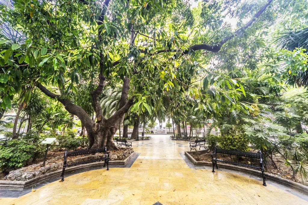 Óbal Hotel Marbella - Resim 29