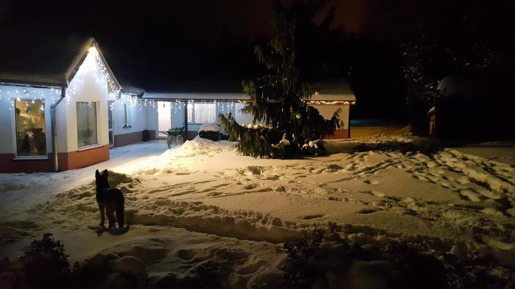 Fotografia z galérie ubytovania MaJa pokoje gościnne v destinácii Lądek-Zdrój