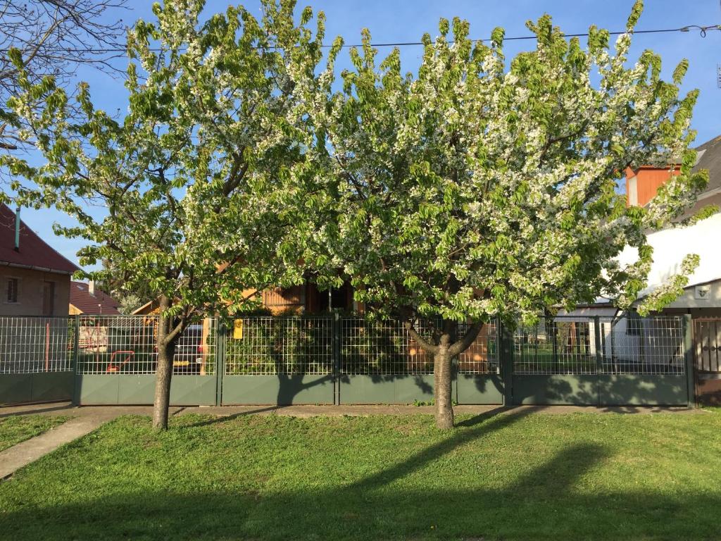 zwei Bäume in einem Garten vor einem Zaun in der Unterkunft Eszter Vendeghaz in Berekfürdő