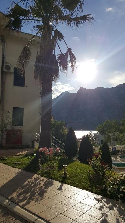 a palm tree in front of a building with a view of the mountains at Roman Gardens Studio Apartment in Risan