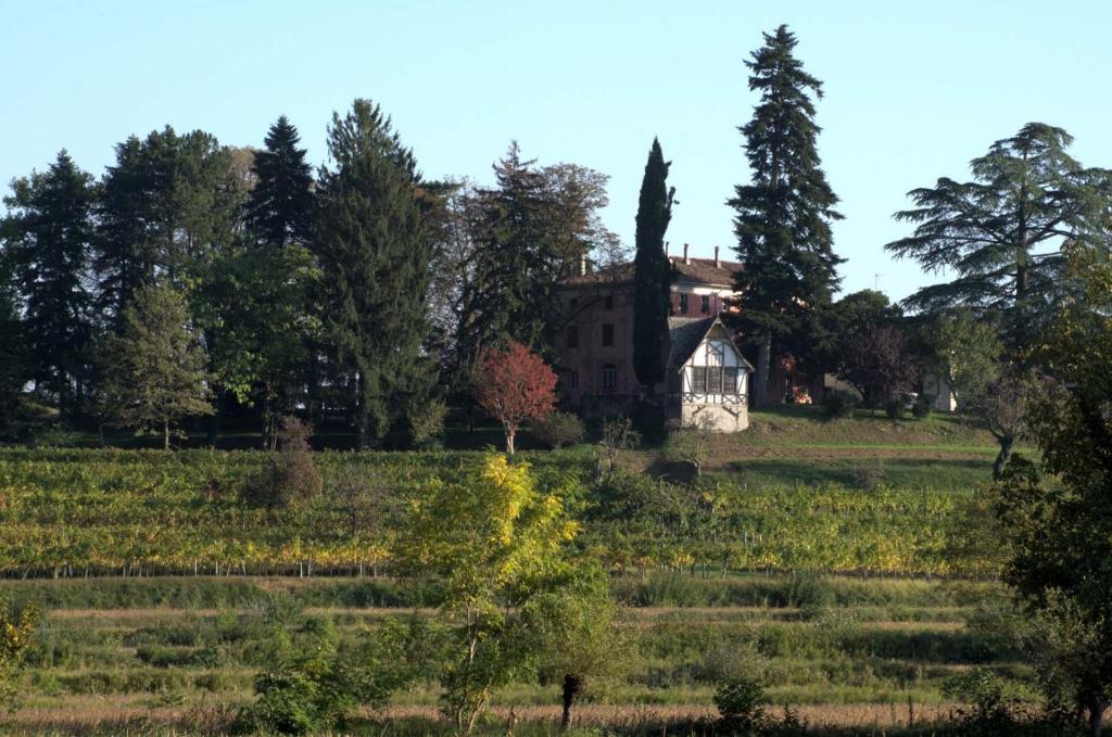 una casa vieja en medio de un campo en Casali del Picchio - Winery, en Cividale del Friuli