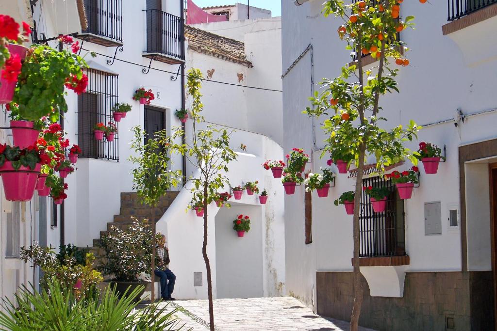 a white building with flowers in potted plants at Apartamentos Miguel Angel in Estepona