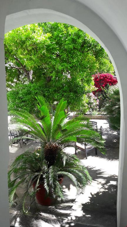an archway with a palm tree in a courtyard with benches at Back to Sorrento in Sant'Agnello