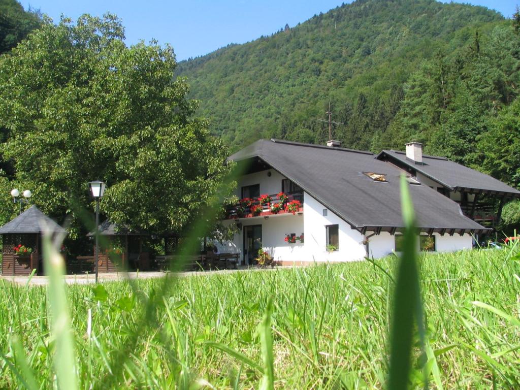 a white house in a field with a mountain at Guest House Atelšek in Rečica ob Savinji