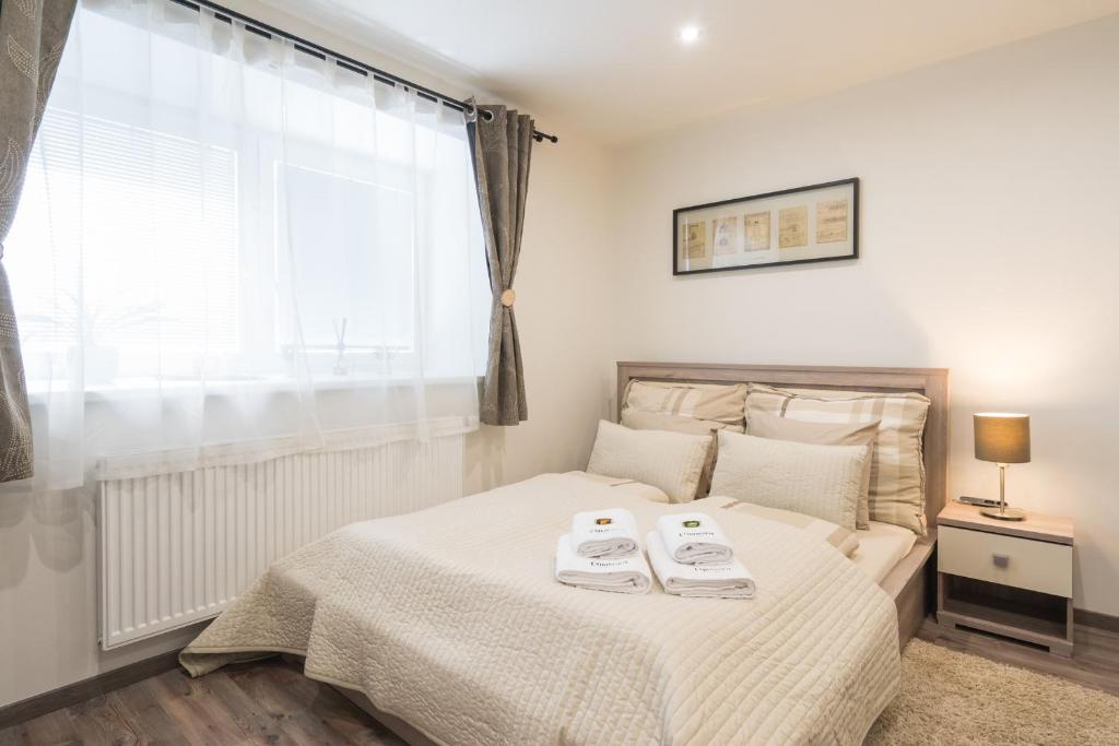 Čajkovskij Apartments Brno-jih - 3