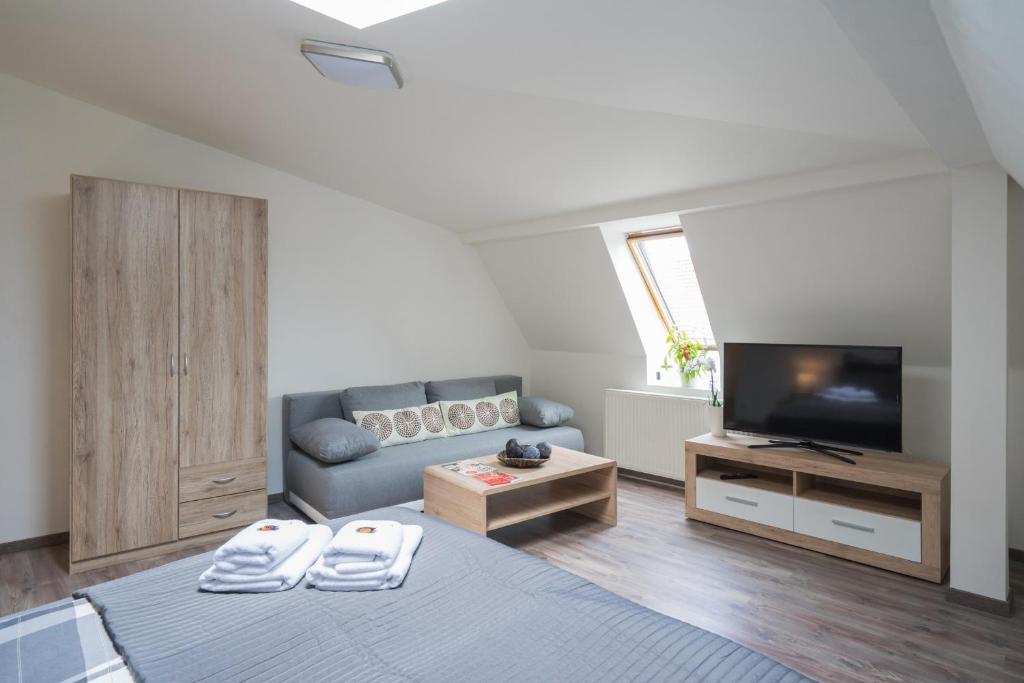 Čajkovskij Apartments Brno-jih - 12