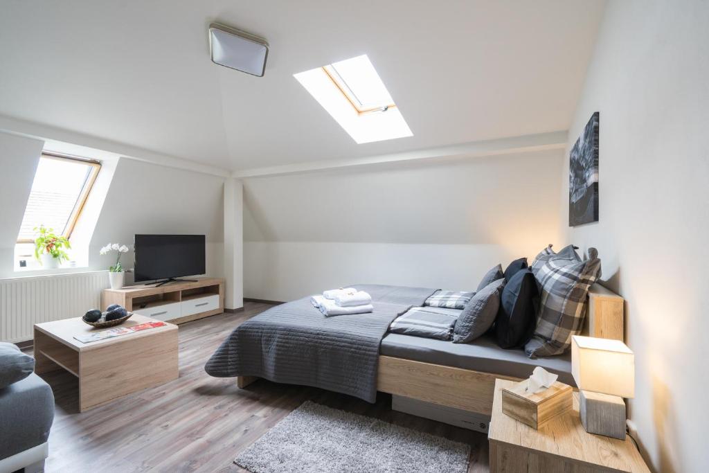 Čajkovskij Apartments Brno-jih - 14