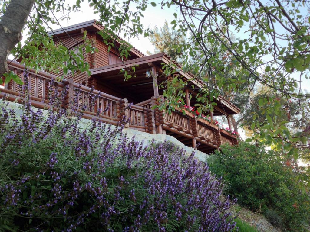 une cabane en bois avec des fleurs violettes devant elle dans l'établissement Anti Onirou, à Flasou
