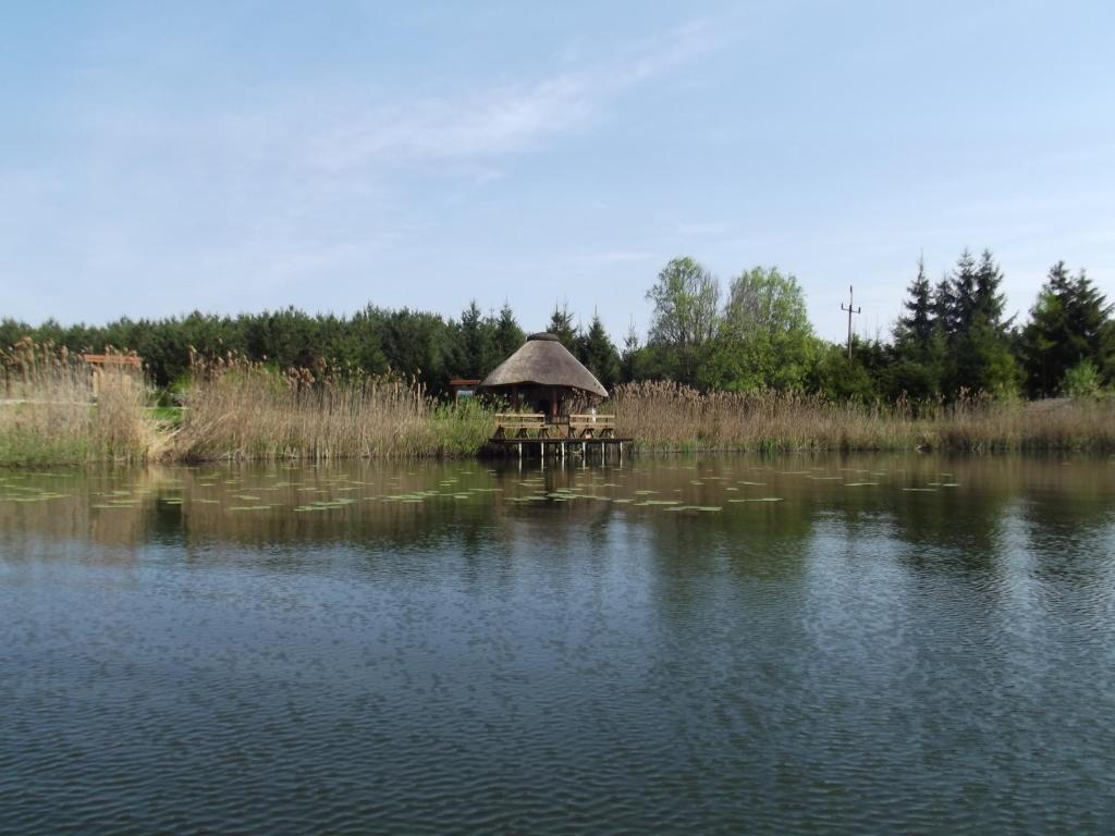 Príroda v okolí dovolenkového domu