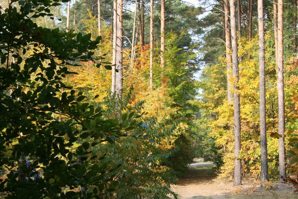 Príroda v okolí dovolenkového domu