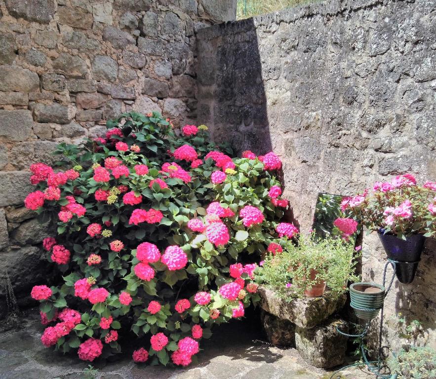 Zahrada ubytování Maison d'Hôtes "La Pierre Pointue"