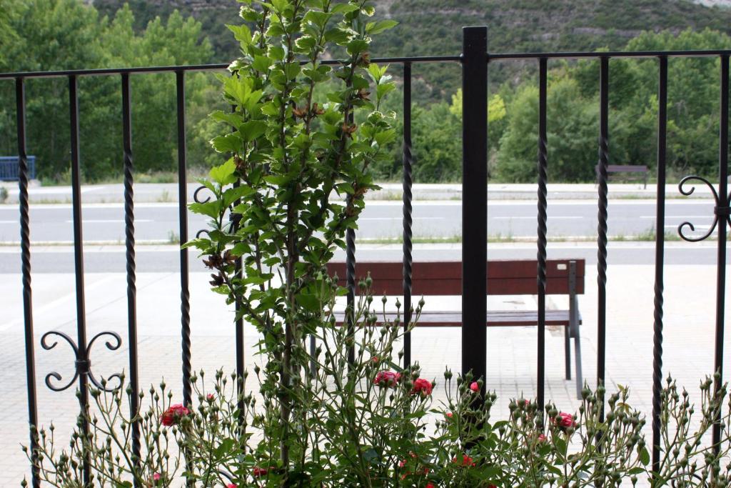 Zahrada ubytování Apartamento Avenida
