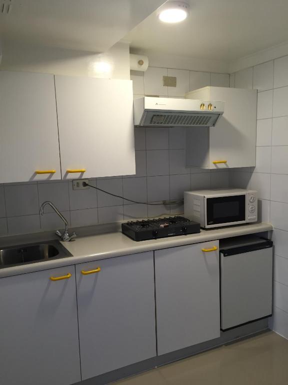 Kuchyň nebo kuchyňský kout v ubytování Hotel Apart Colón