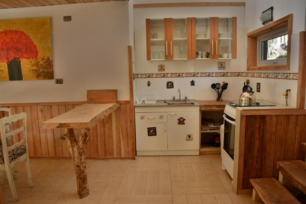 Una cocina o zona de cocina en Hotel y Cabañas Borde Andino