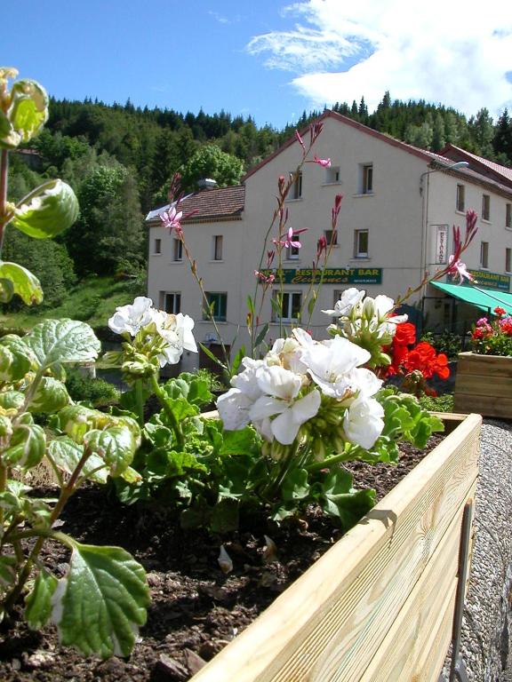 un jardin avec des fleurs blanches dans une clôture en bois dans l'établissement Logis Hôtel Restaurant Les Cévennes, à Saint-Cirgues-en-Montagne