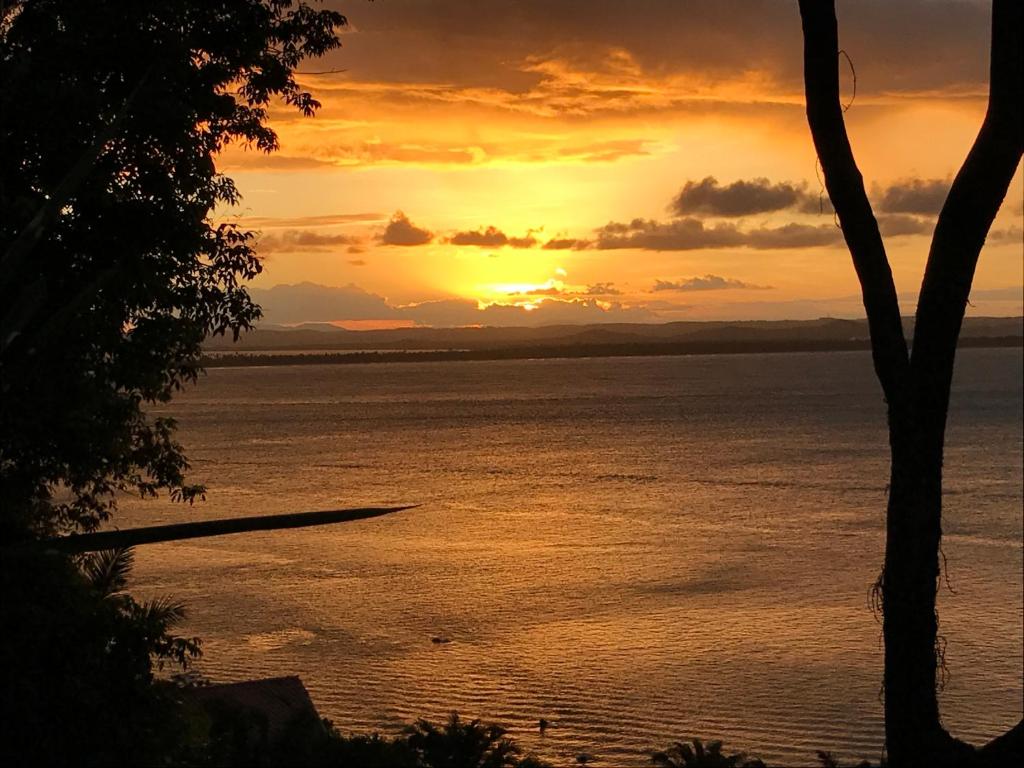 una puesta de sol sobre un cuerpo de agua con un árbol en Casa con increible vista en Morro de São Paulo