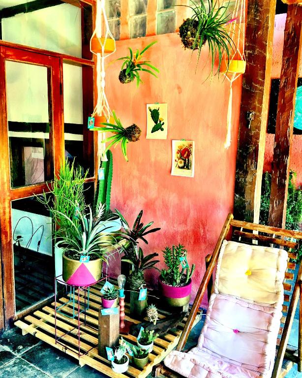  Drifter Hostel
