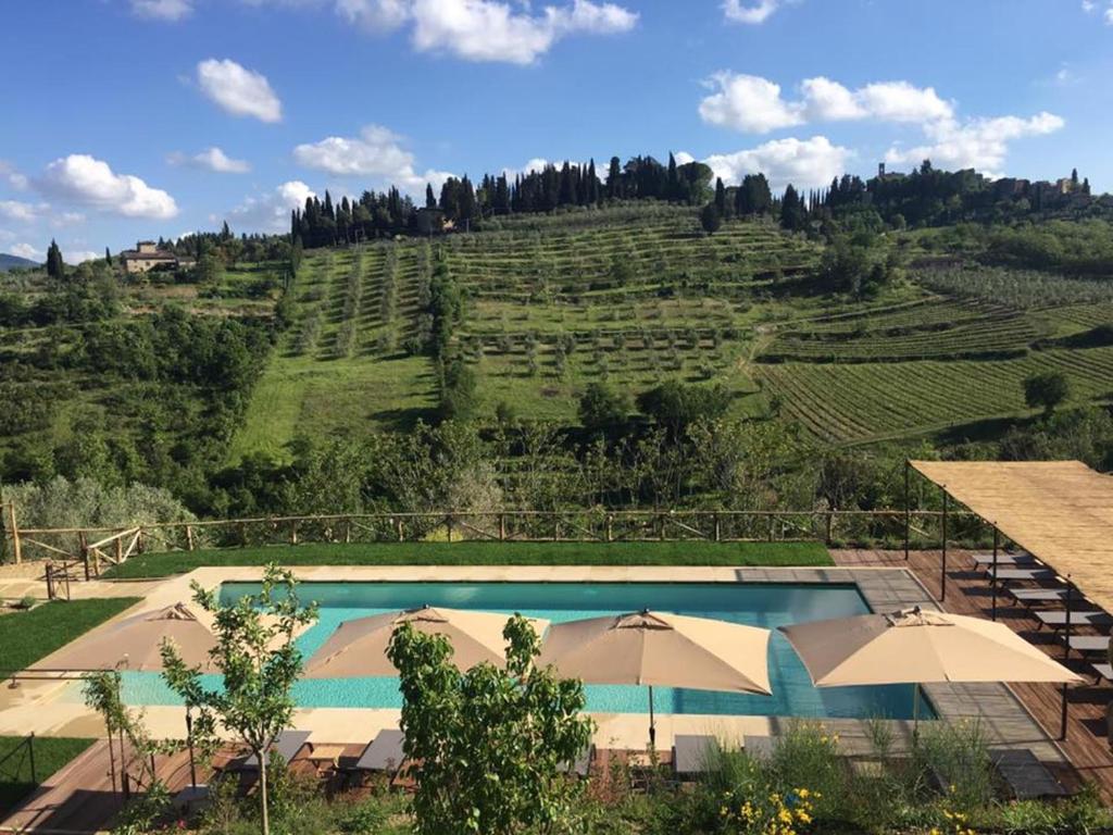 a swimming pool in front of a vineyard with umbrellas at Borgo Del Cabreo in Greve in Chianti