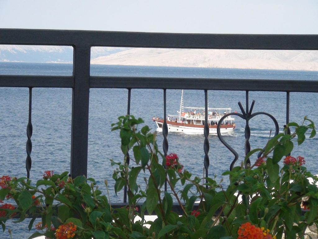 Príroda v okolí apartmánu
