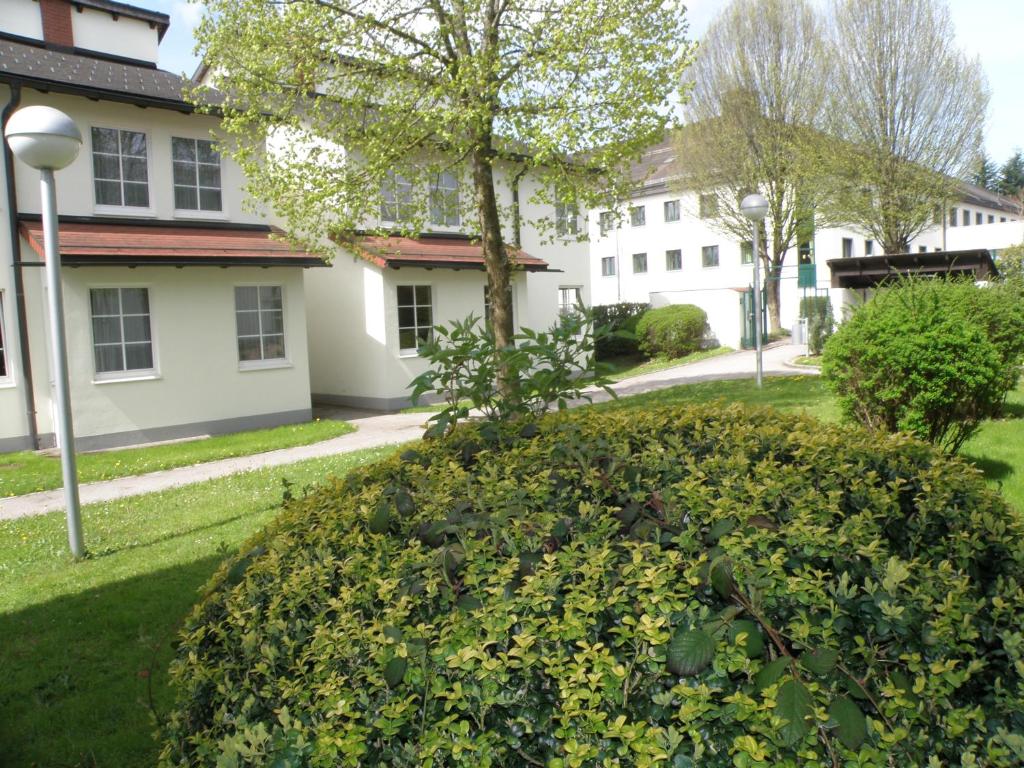 un gran arbusto frente a una casa en Hotel Sommerhaus, en Bad Leonfelden