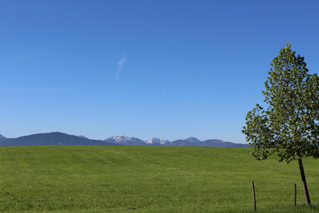 Paesaggio naturale nelle vicinanze dell'affittacamere