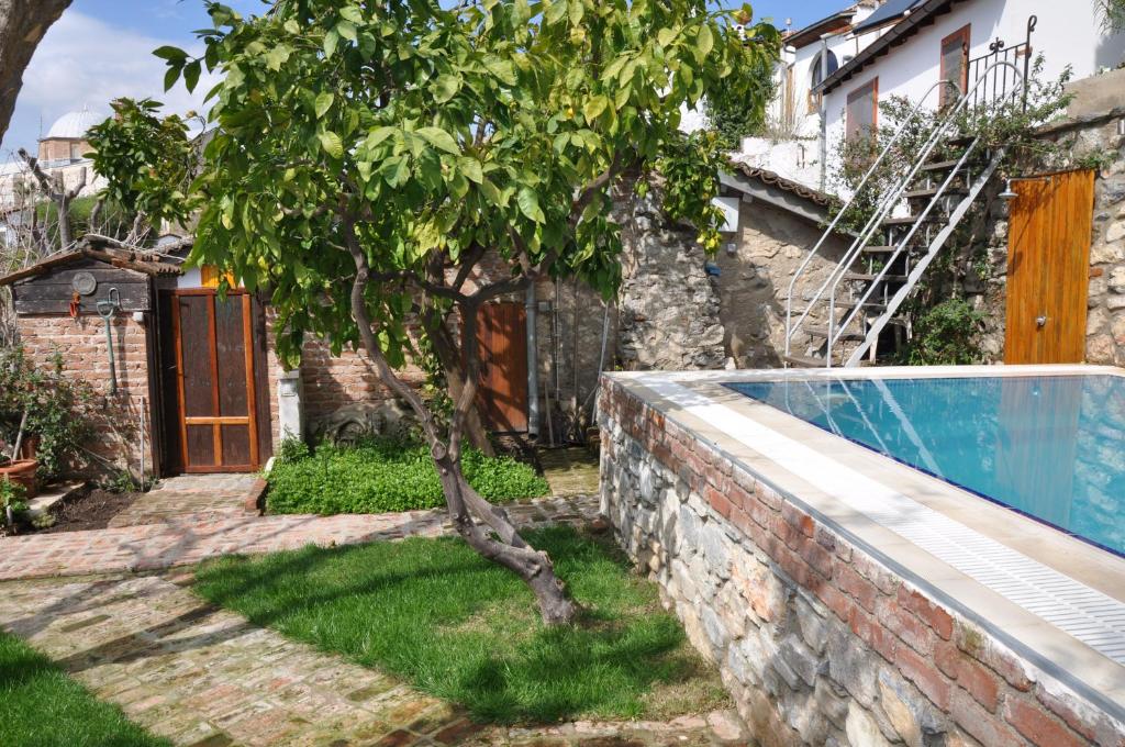 a house with a tree and a swimming pool at Garden House in Selçuk