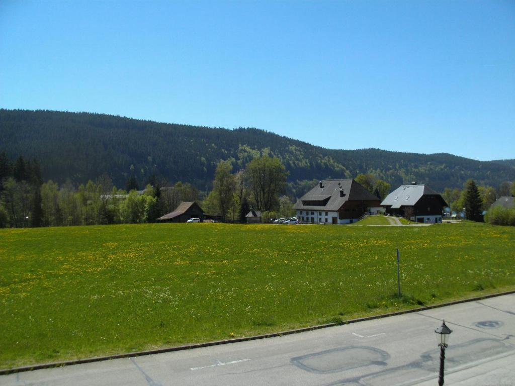 a large green field with houses in the background at Hotel Rheingold Garni in Titisee-Neustadt