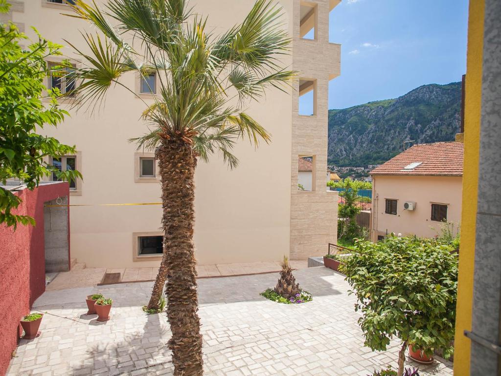 a palm tree in front of a building at Apartments Castello in Kotor